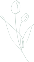 チューリップイラスト